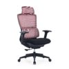 517ch1 Premium Ergonomic Office Chair with Adaptive Dual-Back Support & 3D Armrests