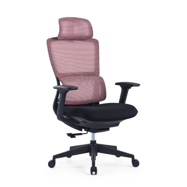 517ch1 Premium Ergonomic Office Chair with Adaptive Dual-Back Support & 3D Armrests