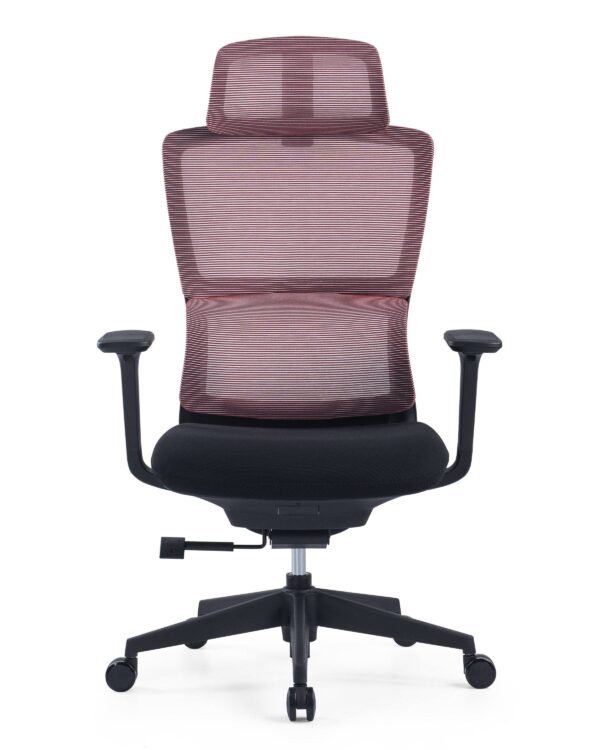 517ch2 Premium Ergonomic Office Chair with Adaptive Dual-Back Support & 3D Armrests