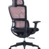 517ch3 Premium Ergonomic Office Chair with Adaptive Dual-Back Support & 3D Armrests