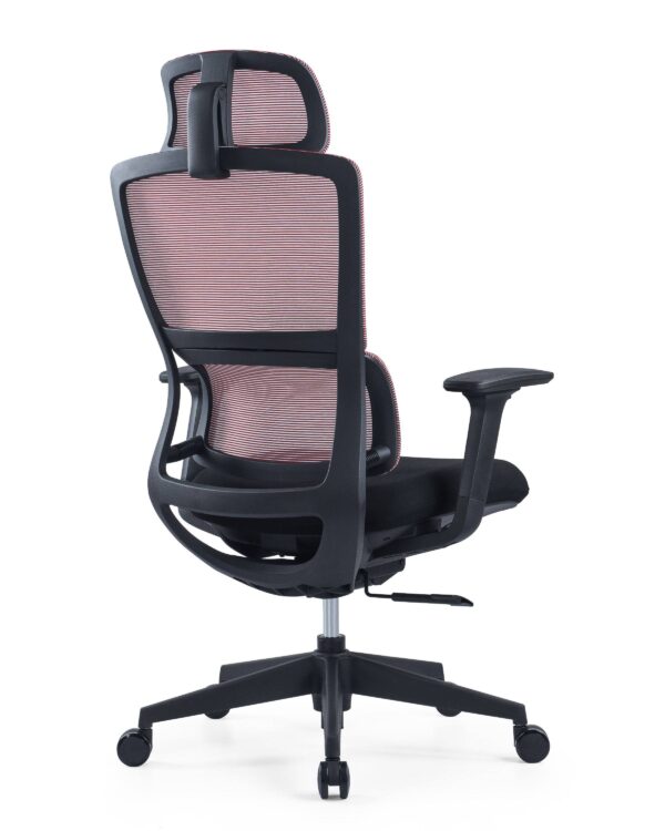 517ch3 Premium Ergonomic Office Chair with Adaptive Dual-Back Support & 3D Armrests