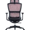 517ch4 Premium Ergonomic Office Chair with Adaptive Dual-Back Support & 3D Armrests