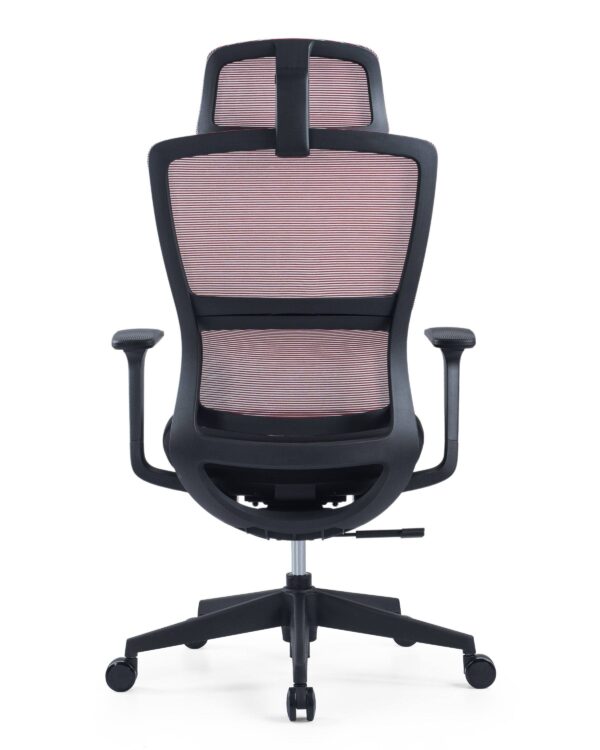 517ch4 Premium Ergonomic Office Chair with Adaptive Dual-Back Support & 3D Armrests