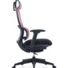 517ch5 Premium Ergonomic Office Chair with Adaptive Dual-Back Support & 3D Armrests
