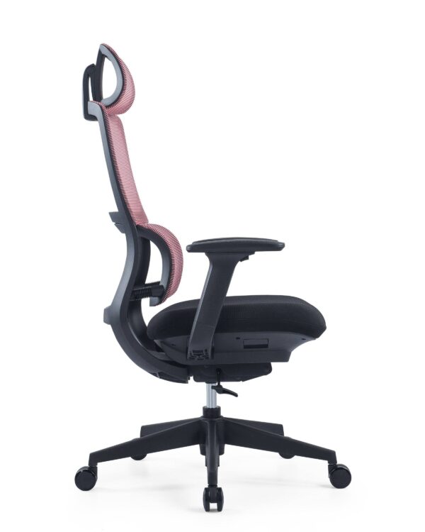 517ch5 Premium Ergonomic Office Chair with Adaptive Dual-Back Support & 3D Armrests