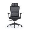 517ch6 Premium Ergonomic Office Chair with Adaptive Dual-Back Support & 3D Armrests