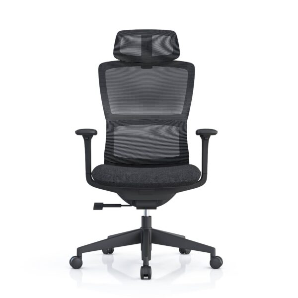 517ch6 Premium Ergonomic Office Chair with Adaptive Dual-Back Support & 3D Armrests