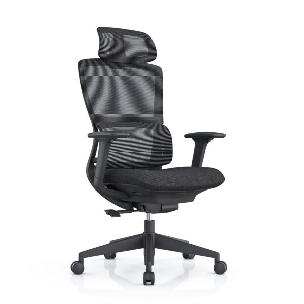517ch7 Premium Ergonomic Office Chair with Adaptive Dual-Back Support & 3D Armrests