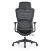 517ch8 Premium Ergonomic Office Chair with Adaptive Dual-Back Support & 3D Armrests