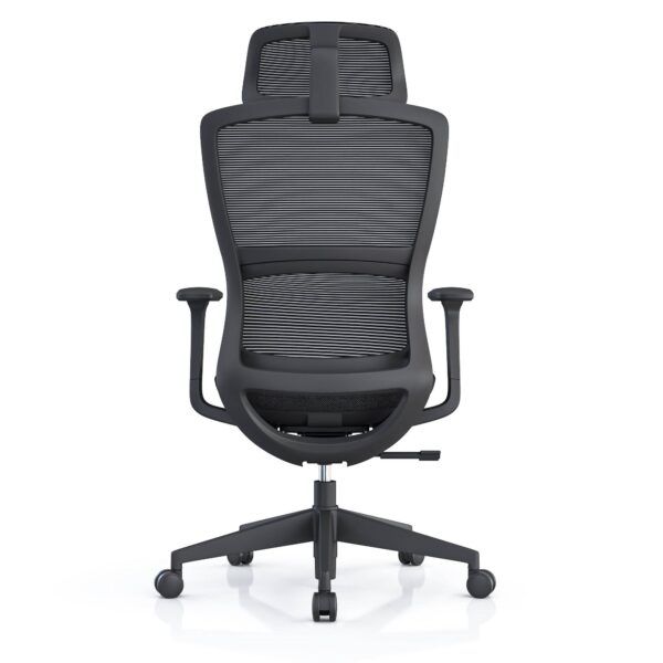 517ch8 Premium Ergonomic Office Chair with Adaptive Dual-Back Support & 3D Armrests