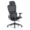 517ch9 Premium Ergonomic Office Chair with Adaptive Dual-Back Support & 3D Armrests